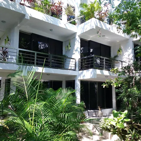 Villanovaceiba